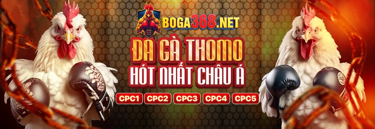 Đá Gà Trực Tuyến tại tải 8888new